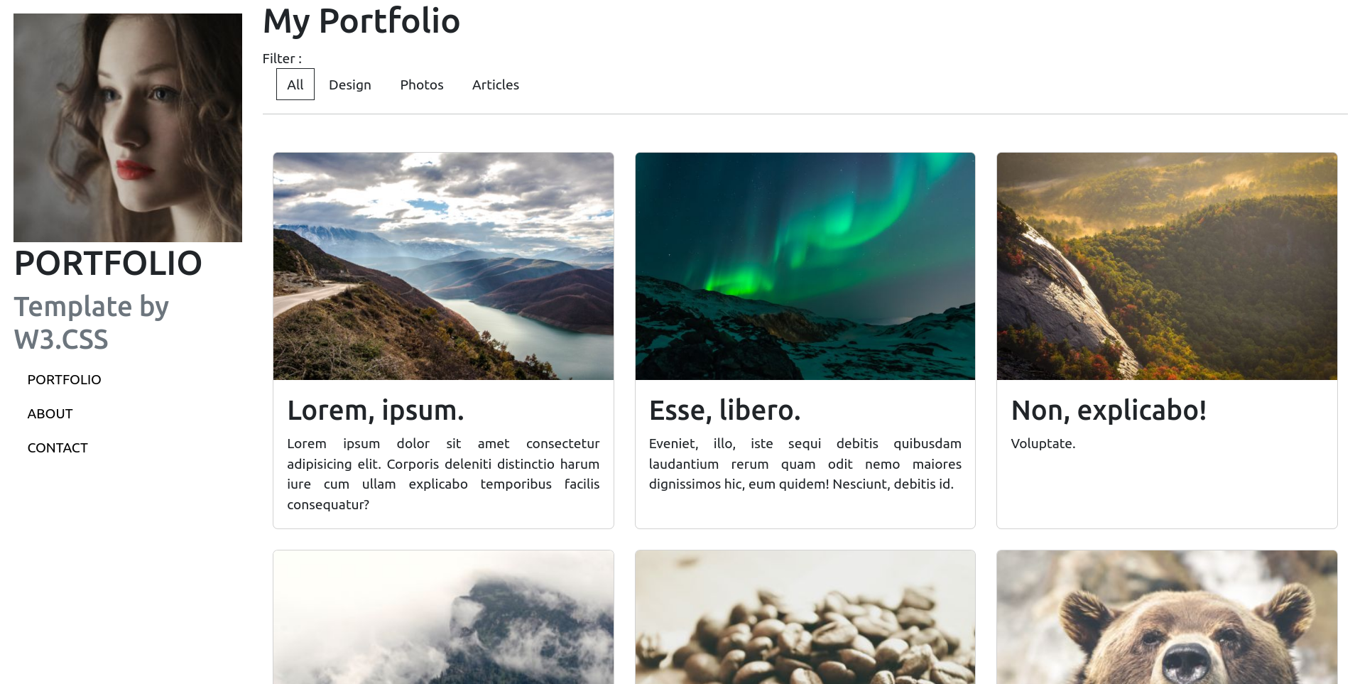 Illustration Nature Portfolio